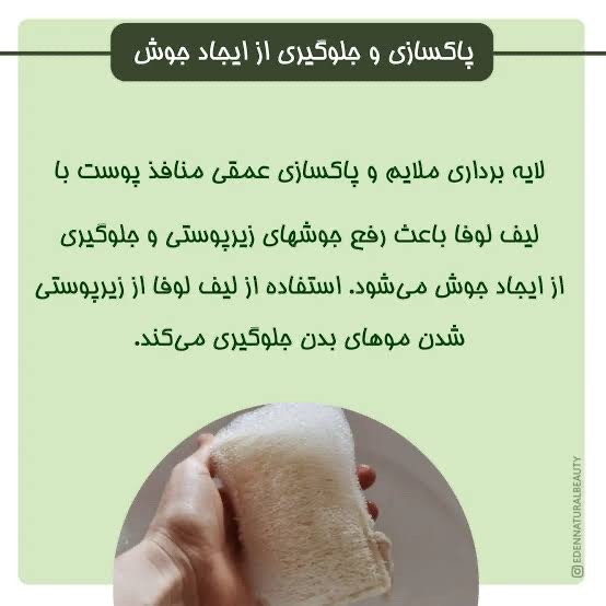 لیف لوفا طبیعی لایه بردار