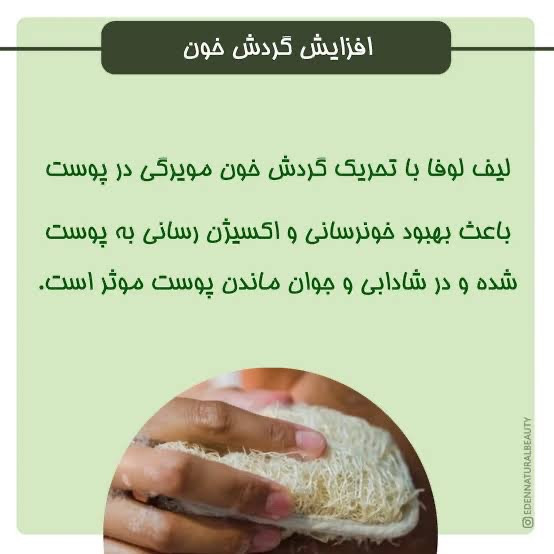لیف لوفا طبیعی لایه بردار